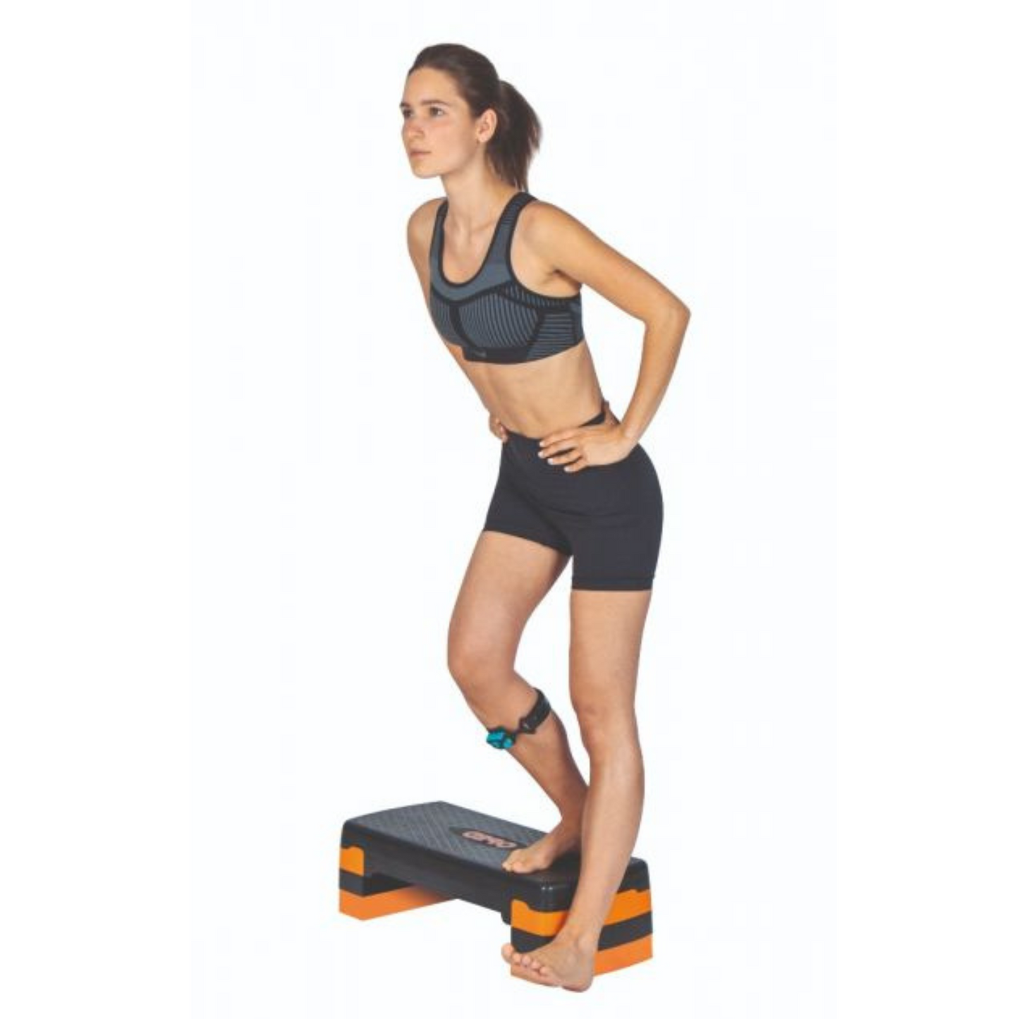 Stepper
