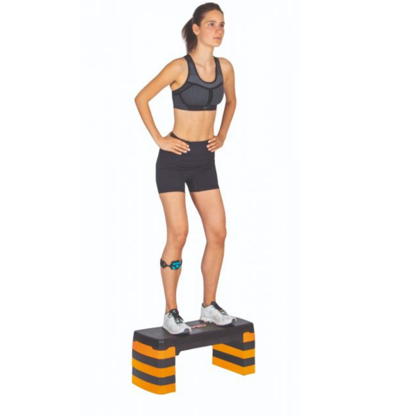 Stepper